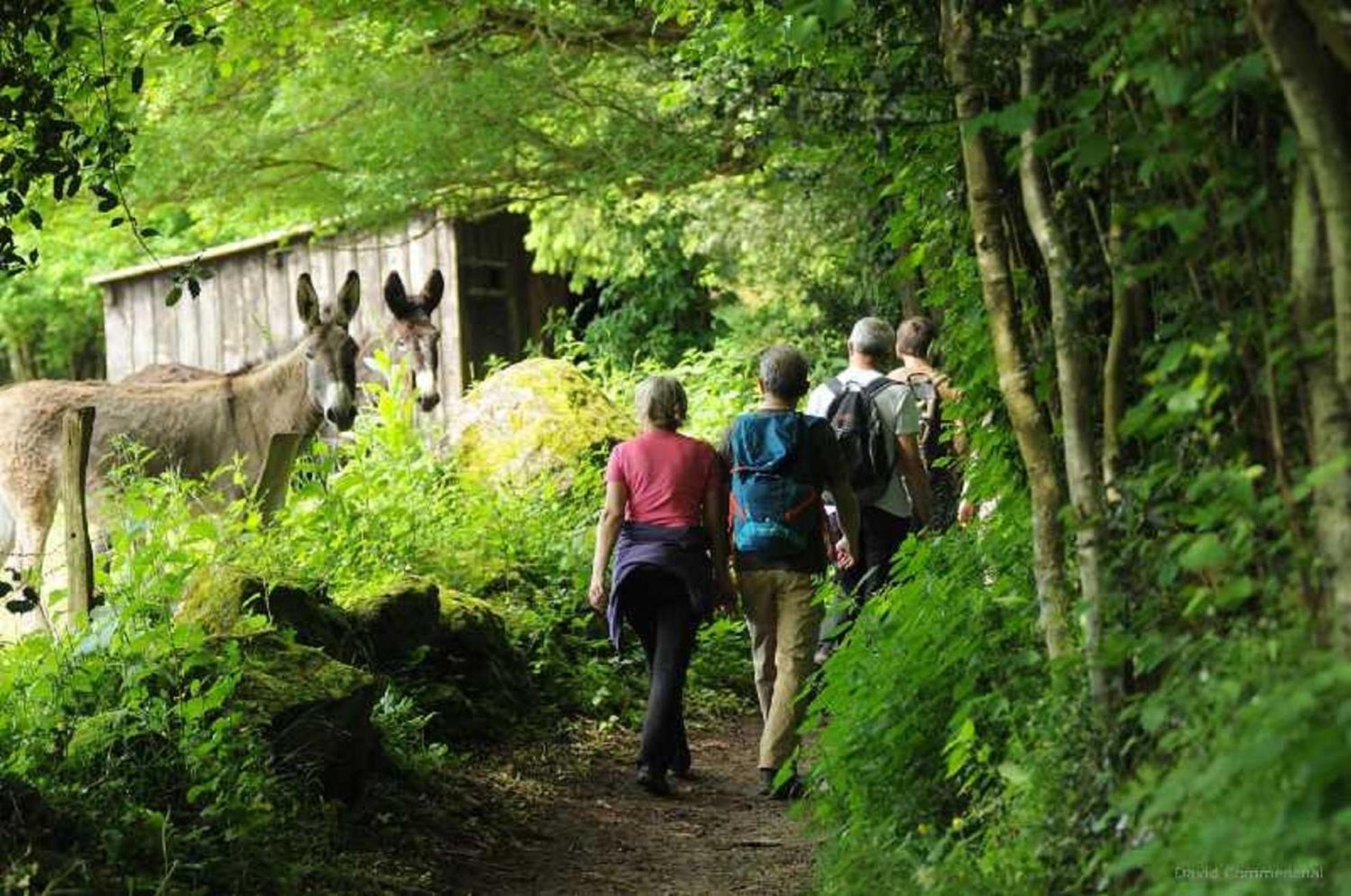 Gite De Fourneaux Pont-d'Ouilly المظهر الخارجي الصورة
